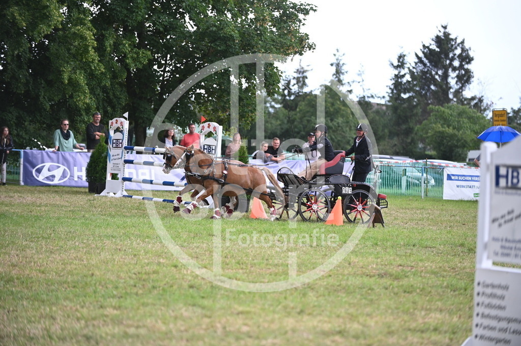 DSC_8669 | sattelsport - Realisiert mit Pictrs.com