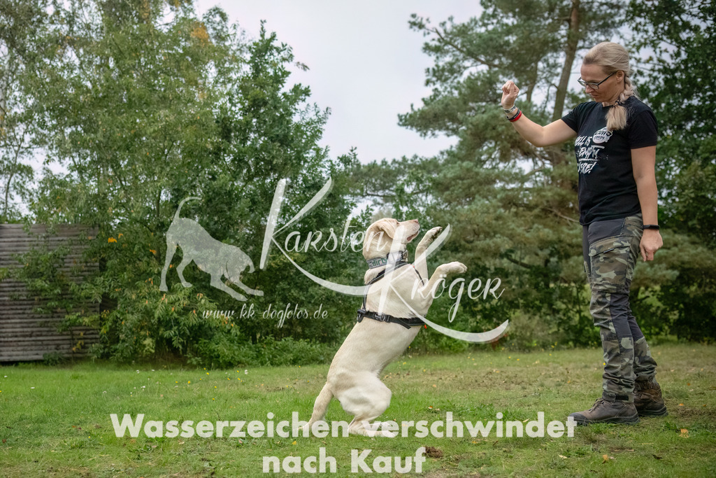 1220_ZZ90713-2-Bearbeitet | kk-dogfotos