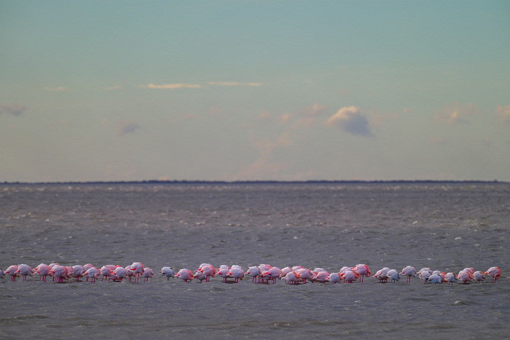 Strand und Meer Romantik | Romantik am Meer und seinen vielfältigen Stränden - Realisiert mit Pictrs.com