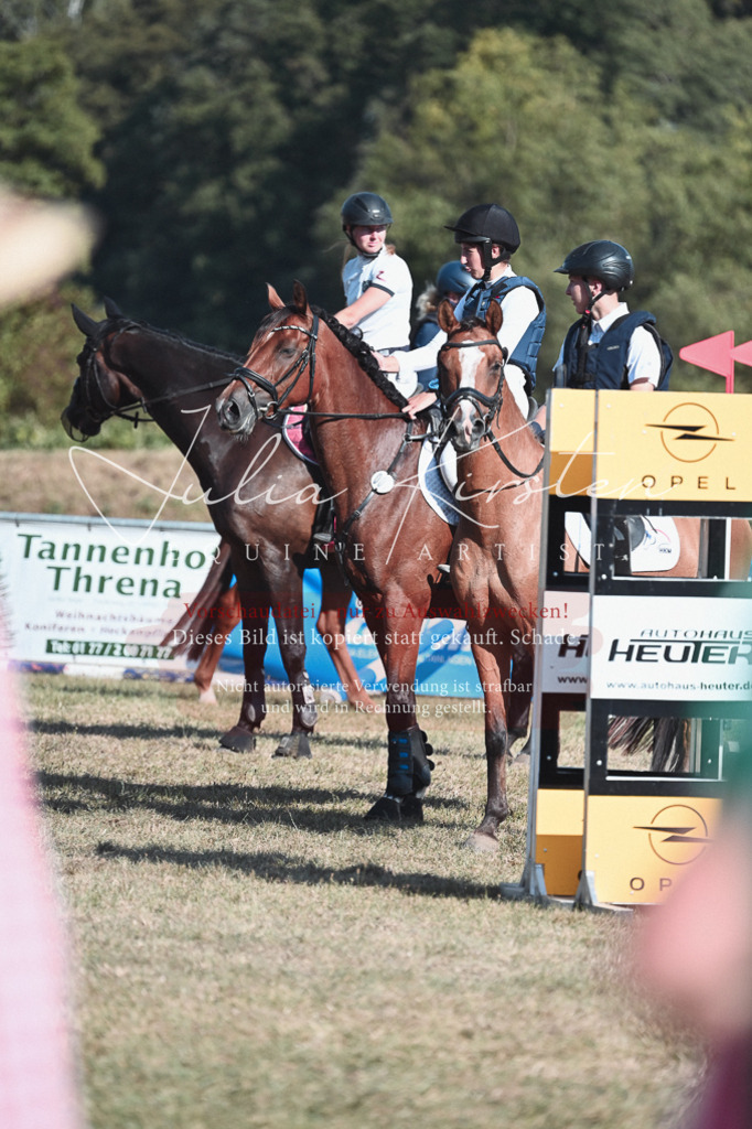 DSC_8846 | Pferde- und Turnierfotografie in Westsachsen. Pferdeportraits, Auftragszeichnungen und intuitive Kunst.