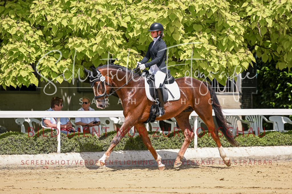 Schugtsche-Aluta25-48.Reitpferfdeprf.-284 | Schugtsche Fotografie - Realisiert mit Pictrs.com