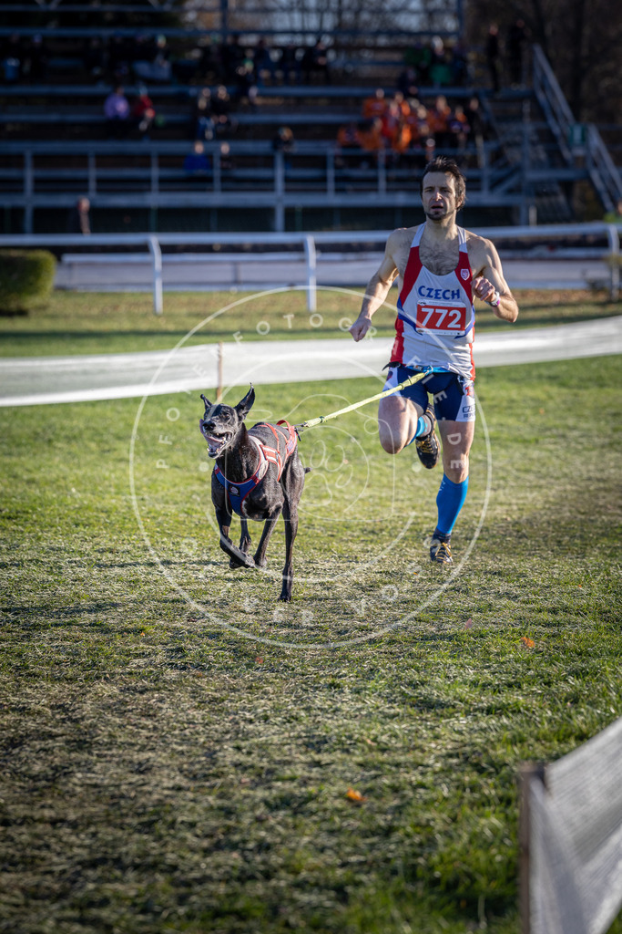 CaniXpix_DV3A2676 | Hundefotografie, Tierfotograf, Pfotenfotografie, Fotoshooting Hund, Hunde Portrait, Hundesport, Hundeportraits, Heideshooting, Hunde, Sportfotograf, Hundefotograf, Turnierhundsport, THS,  - Realisiert mit Pictrs.com