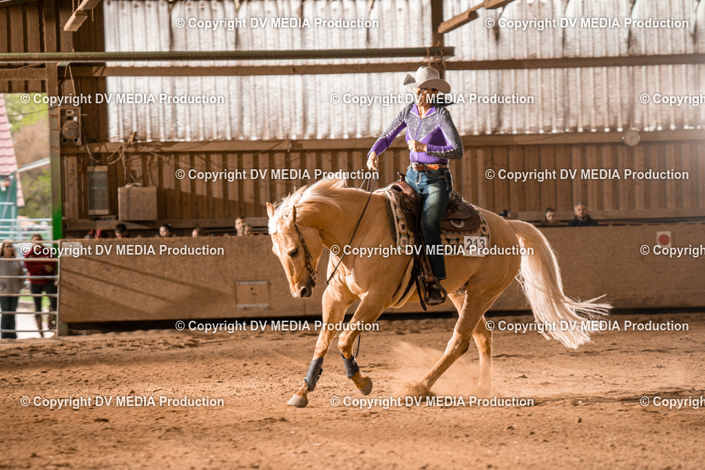 BA301119 | dv-media-shop - Realisiert mit Pictrs.com