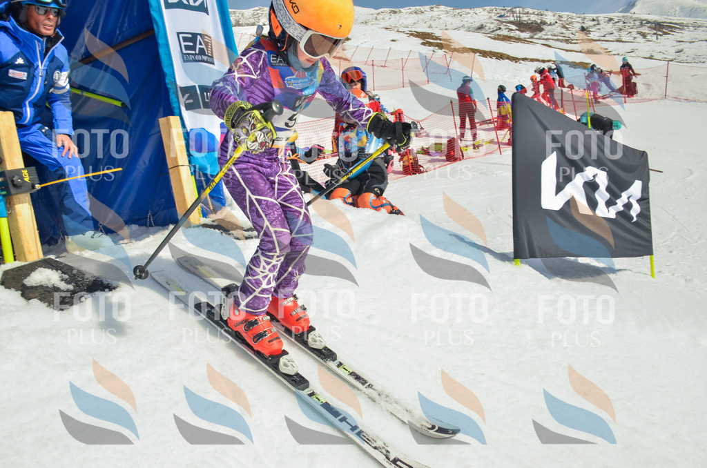 _ELE5276 | holidayphoto