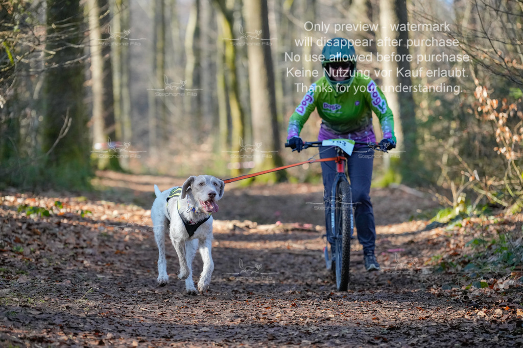 Scooter_So_So-32 | stephaniefillaphotographie - Realisiert mit Pictrs.com