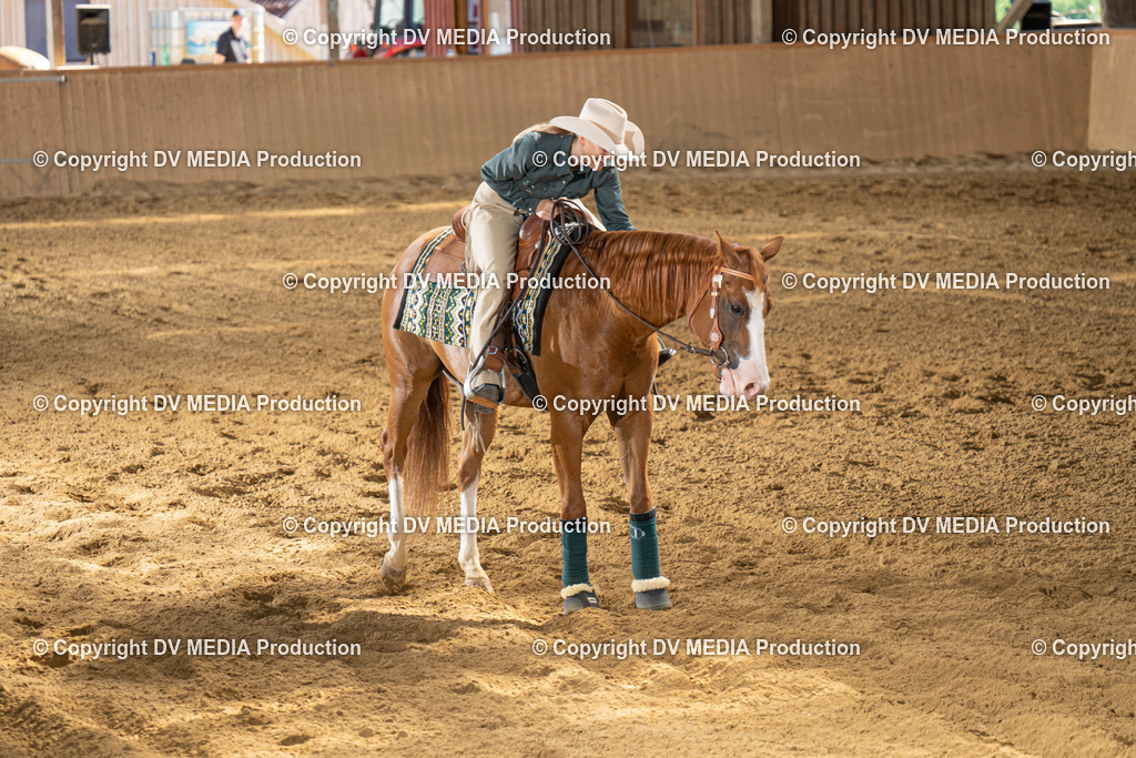 DSC00081 | dv-media-shop - Realisiert mit Pictrs.com