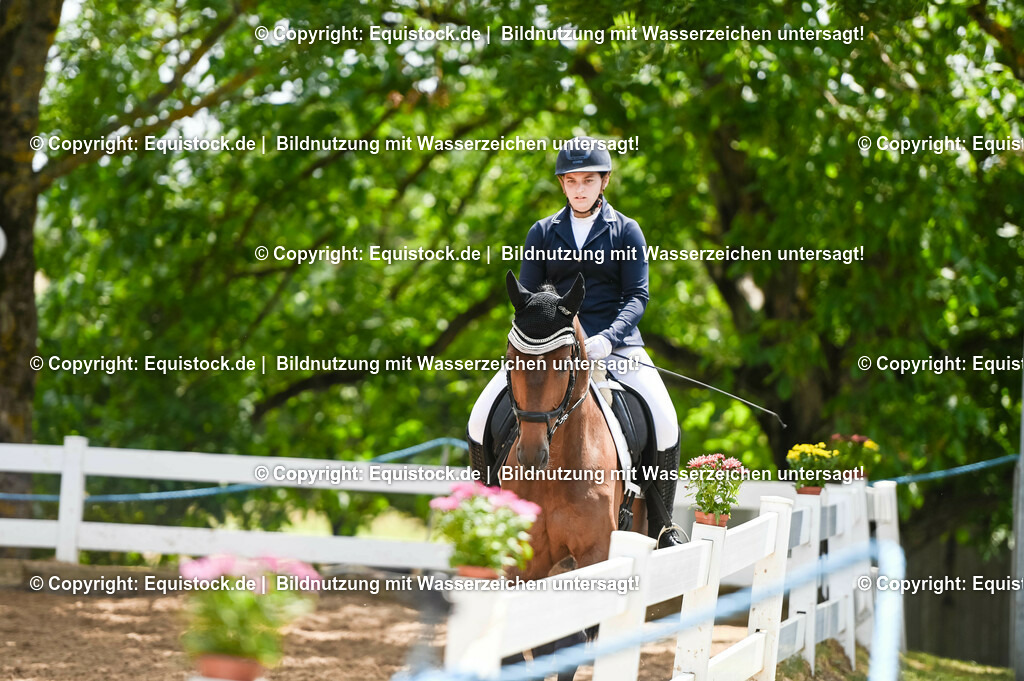 20230716_03_Dressurprfg. Kl.L - Tr._0674 | equistock