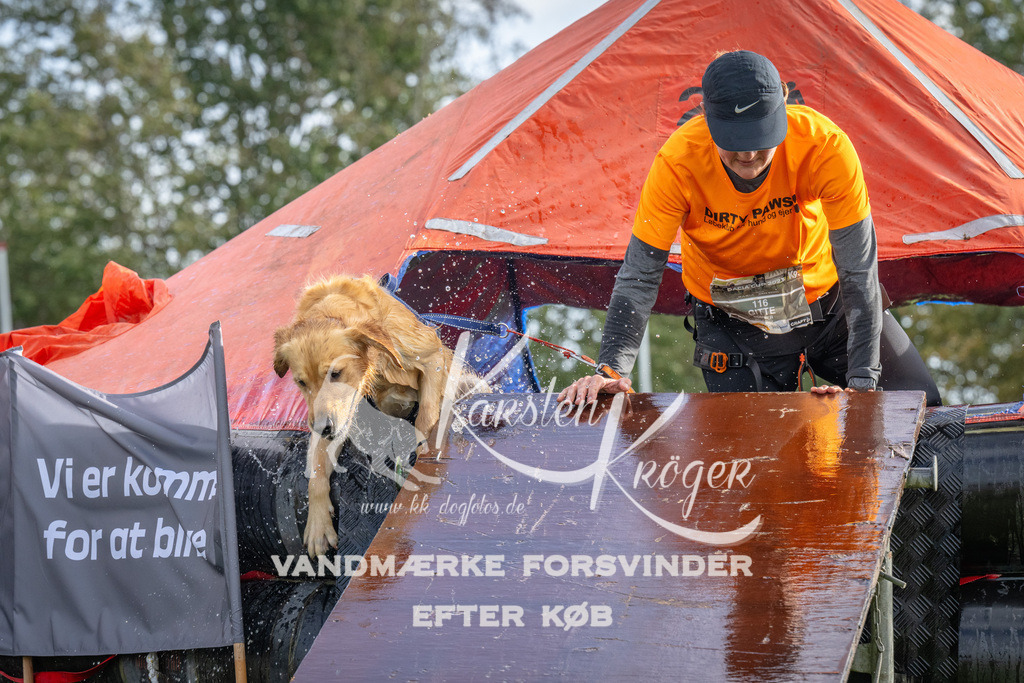 1210-92698 | kk-dogfotos