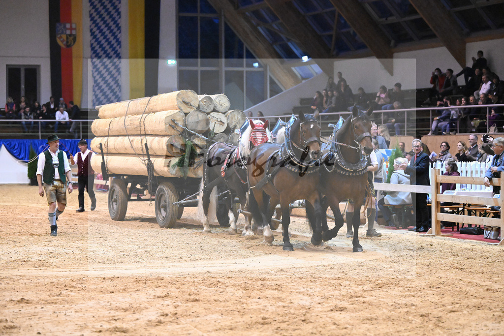 Schauprogramm_54222536 | hf-fotografie - Realisiert mit Pictrs.com
