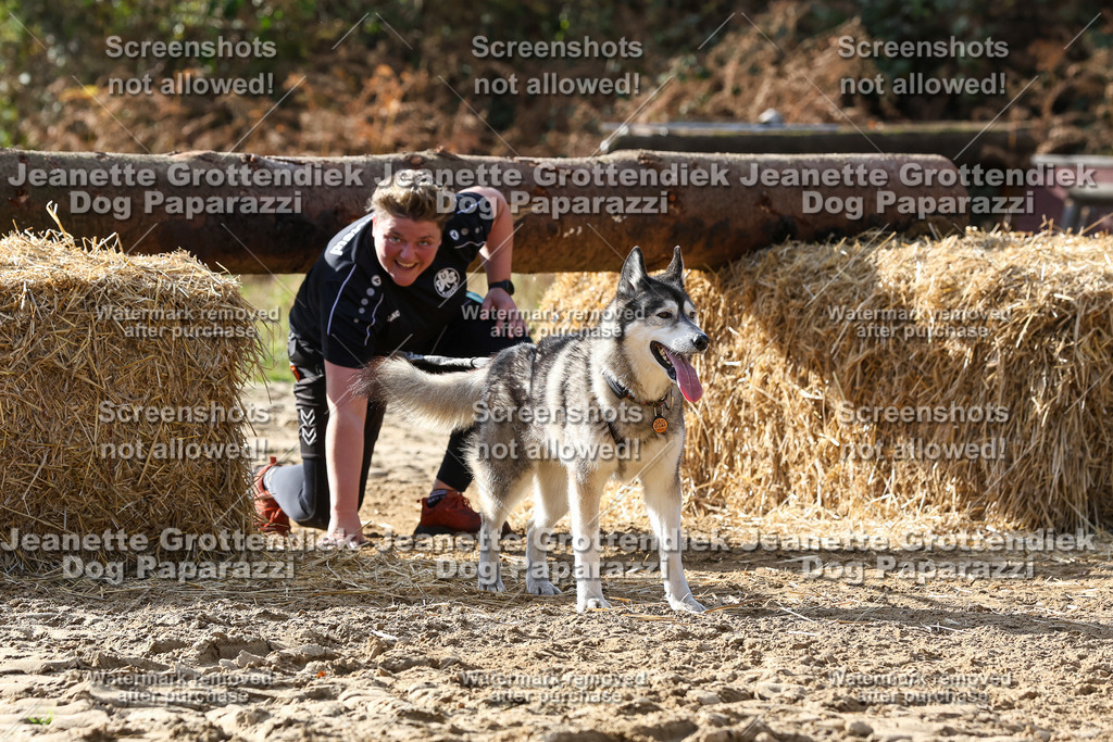 Dog Paparazzi - Strongdog 10-25-5887 | Dog Paparazzi Jeanette Grottendiek Fotografie & Videografie - Realisiert mit Pictrs.com