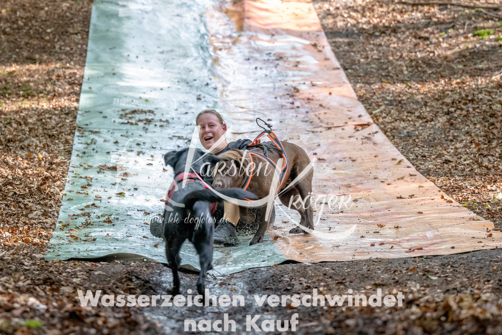 1144_ZZ92322-Bearbeitet | kk-dogfotos