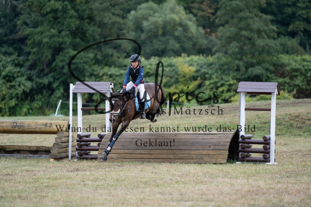 A7V00300 | Pferdefotograf