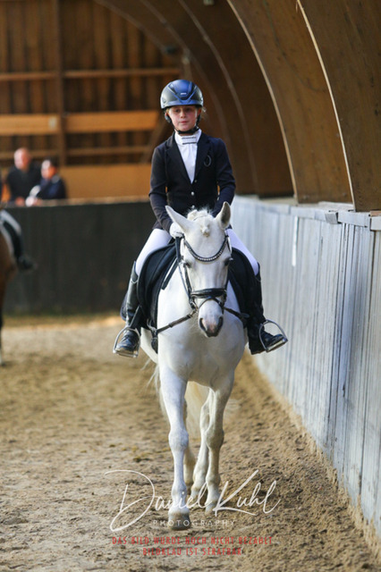 IMG_1424 | Turniersportfotografie; Pferdefotografie; Dressurfotografie