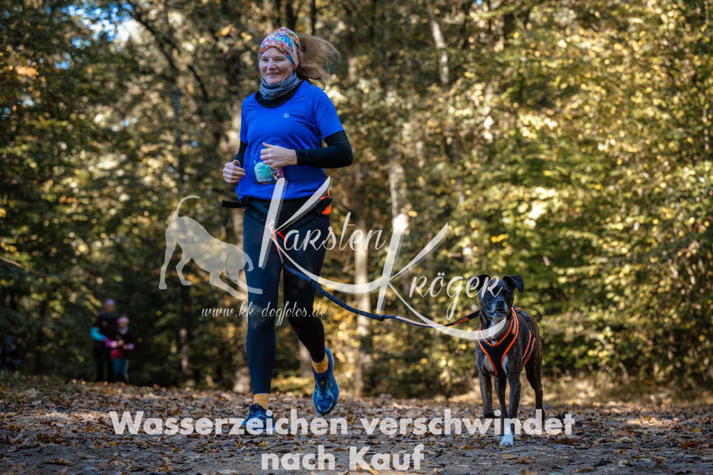 1105_ZZ91582 | kk-dogfotos