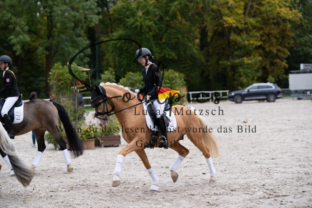 A7V01361 | Pferdefotograf