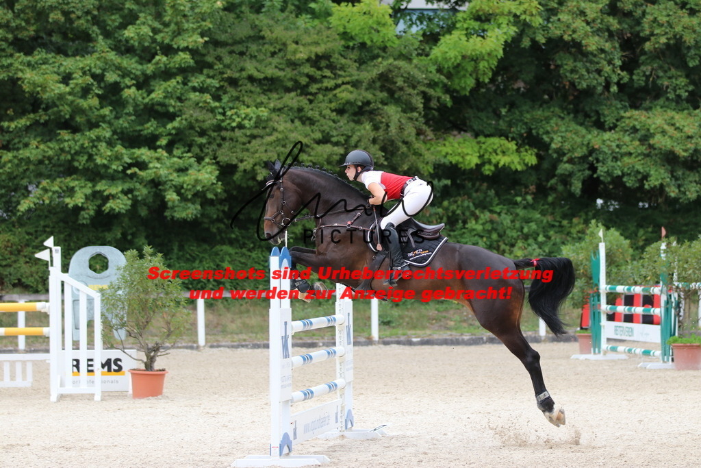 IMG_2228 | lmwpictures - Realisiert mit Pictrs.com