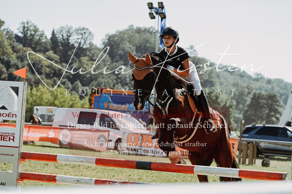 DSC_6576 | Pferde- und Turnierfotografie in Westsachsen. Pferdeportraits, Auftragszeichnungen und intuitive Kunst.