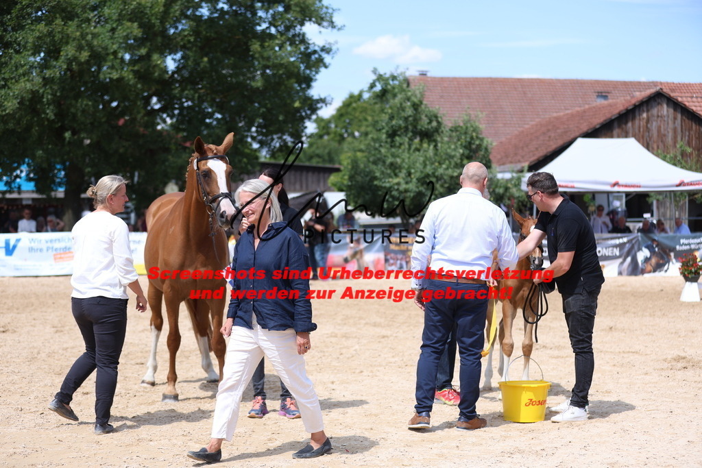 Fohlenschau_Schwäbisch_Hall_springbetonte_Fohlen_SIEGERFOHLEN_KN 22_3 | lmwpictures - Realisiert mit Pictrs.com