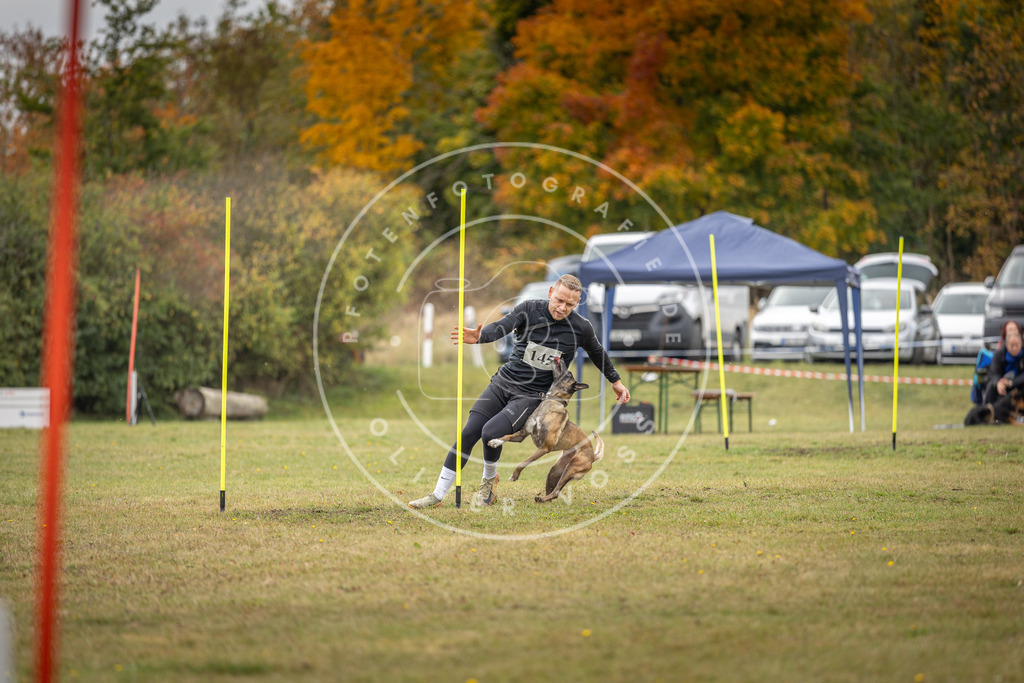 Pfotenfotografie_DV3A8022 | Hundefotografie, Tierfotograf, Pfotenfotografie, Fotoshooting Hund, Hunde Portrait, Hundesport, Hundeportraits, Heideshooting, Hunde, Sportfotograf, Hundefotograf, Turnierhundsport, THS,  - Realisiert mit Pictrs.com