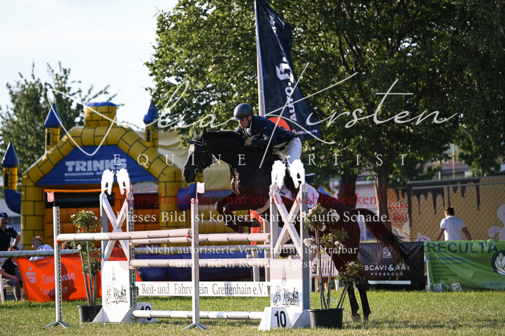 DSC_1822 | Pferde- und Turnierfotografie in Westsachsen. Pferdeportraits, Auftragszeichnungen und intuitive Kunst.