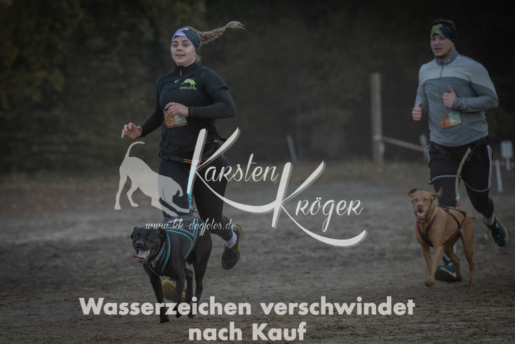 0900_ZZ90504 | kk-dogfotos