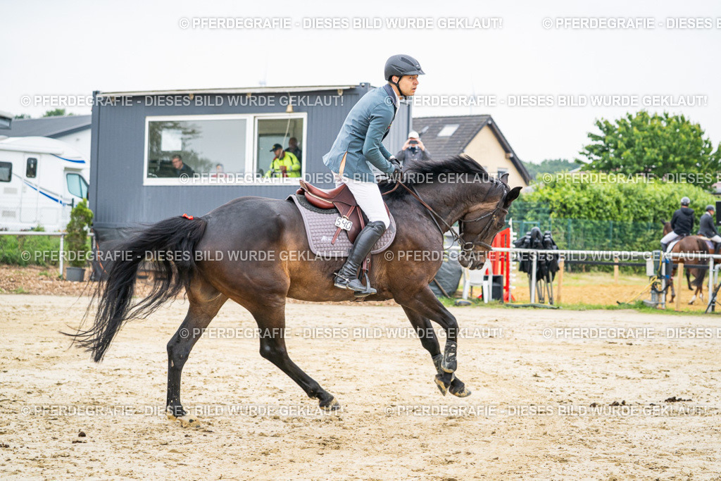 DSC00290 | Pferdegrafie