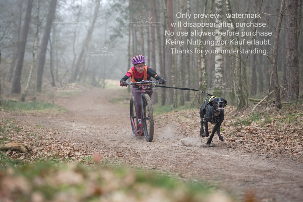Scooter1-44 | stephaniefillaphotographie - Realisiert mit Pictrs.com