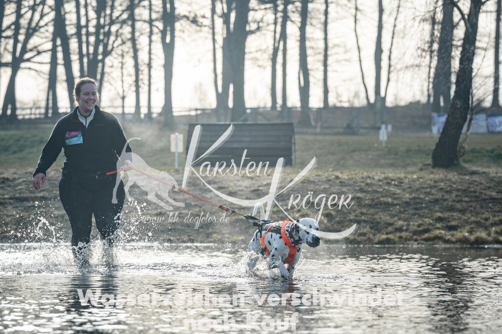 0855_ZZ99183 | kk-dogfotos