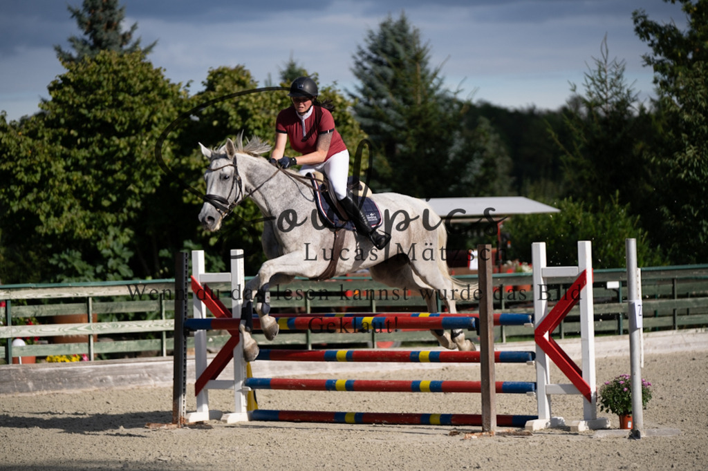 A7V07801 | Turnier/Reitfotograf