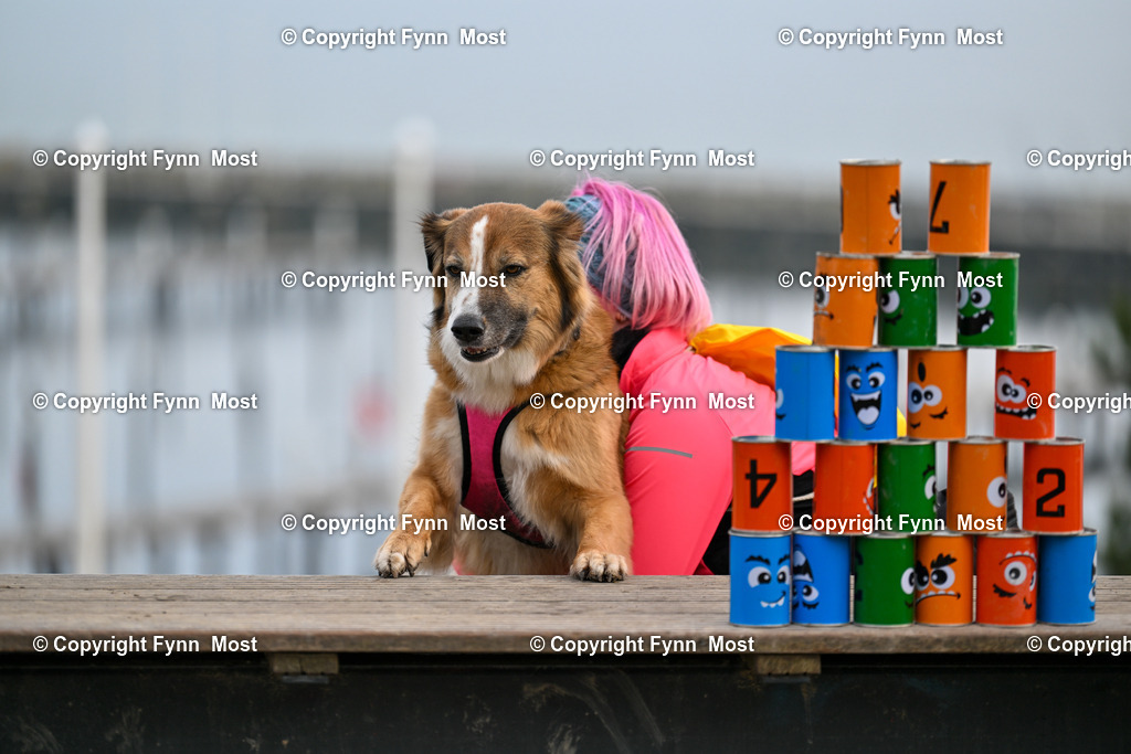 DSC_5724 | Hallo und herzlich Willkommen auf meiner Shop-Seite Fynn Most.

Ich wünsche Dir viel Spaß beim stöbern durch die Bilder, wenn Du Fragen hast oder Bilder vermisst, kannst du mir gerne eine Nachricht schreiben. - Realisiert mit Pictrs.com