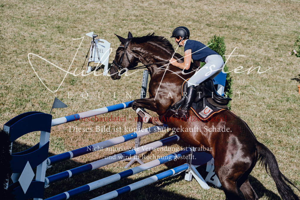 DSC_2537 | Pferde- und Turnierfotografie in Westsachsen. Pferdeportraits, Auftragszeichnungen und intuitive Kunst.