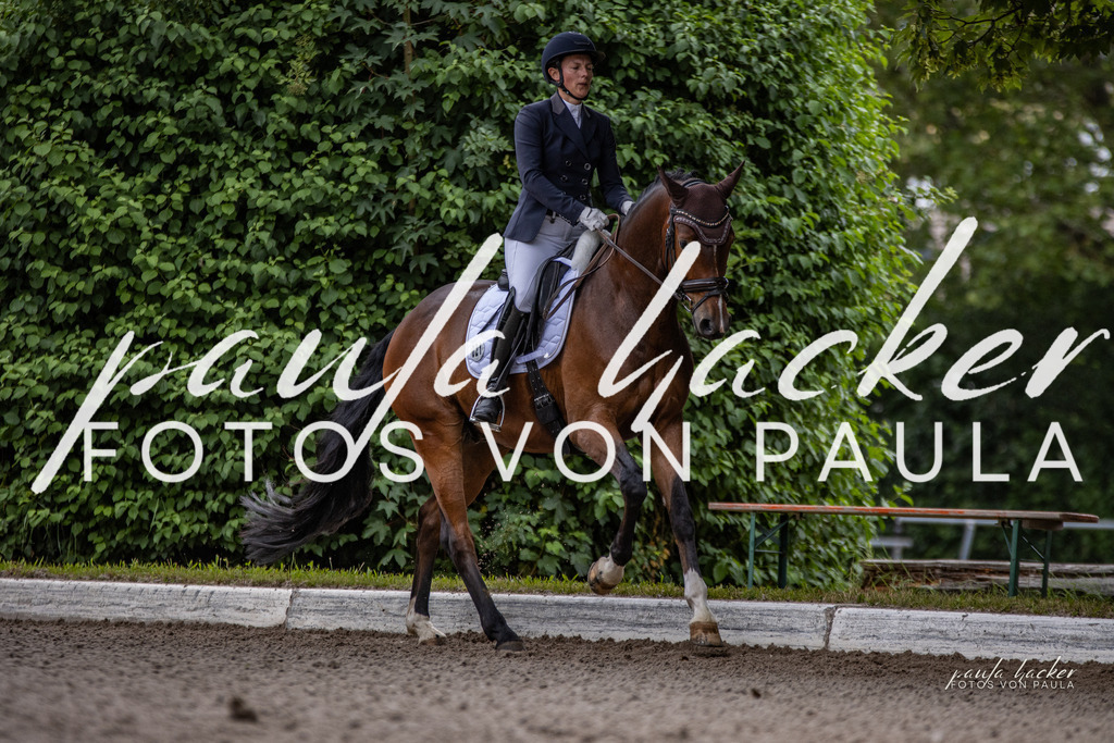IMG_6810 | Erleben Sie dynamische Sport- und emotionale Tierfotografie in Süddeutschland mit Fotos von Paula. Spezialisiert auf Pferde- und Hundefotografie sowie Sportevents. Kontaktieren Sie mich für einzigartige und ausdrucksstarke Bilder Ihrer besonderen Momente. - Realisiert mit Pictrs.com