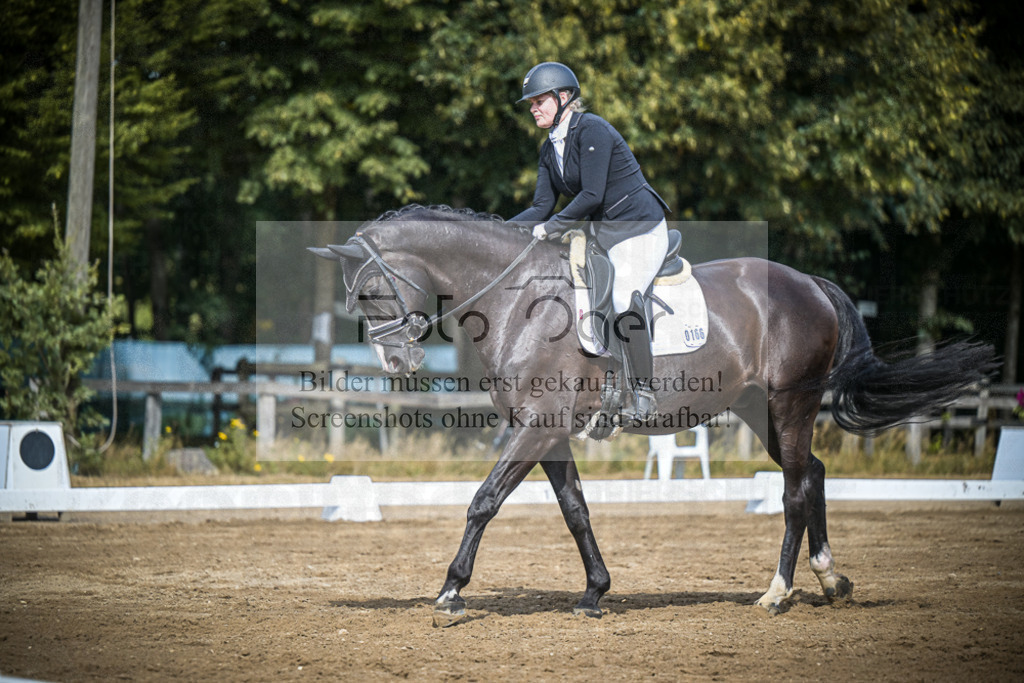 DOS_0337 | Entdecke hochwertige Reitturnierfotos von Foto Oger. Professionell, emotional und authentisch – jetzt Lieblingsmomente im Shop bestellen.Deutschlandweite Turnierfotografie. - Realisiert mit Pictrs.com