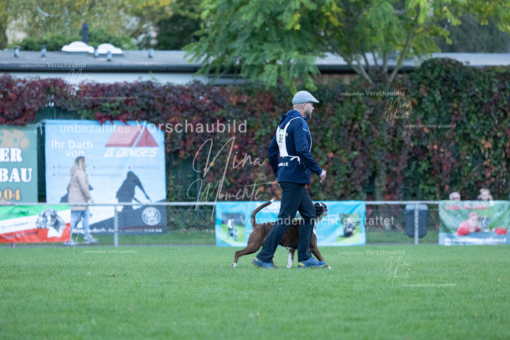 _16A4515 | Einzigartige Fotos von Hunden & Menschen –Actionfotos, Portraits, Vereinsaufnahmen & Paarshootings – authentisch, lebendig & mit Herz.