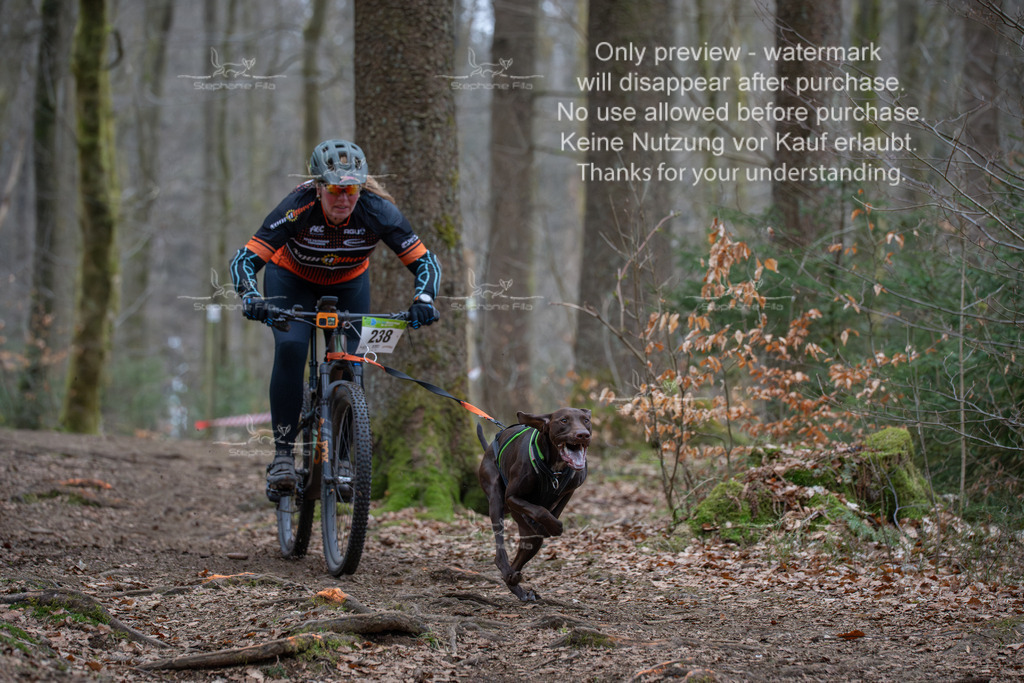 Bike_So-69 | stephaniefillaphotographie - Realisiert mit Pictrs.com