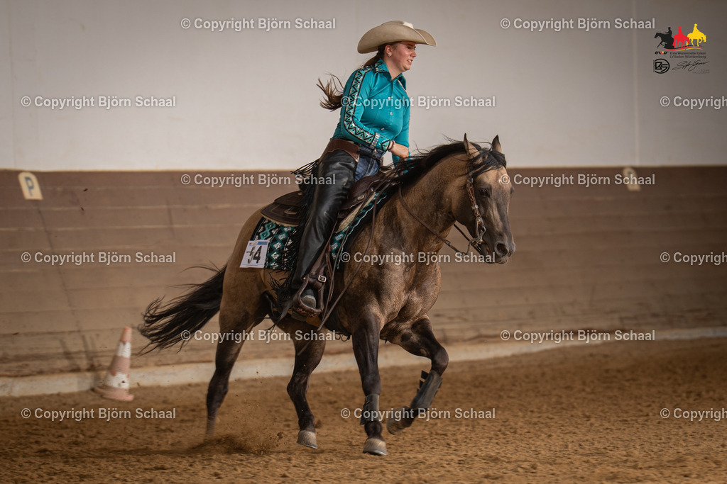 LMS06083 | BS-foto