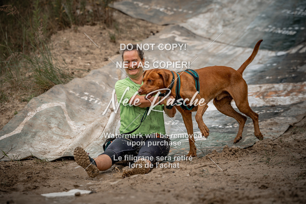 nelerasche_sa1100-1200_165 | nelerasche