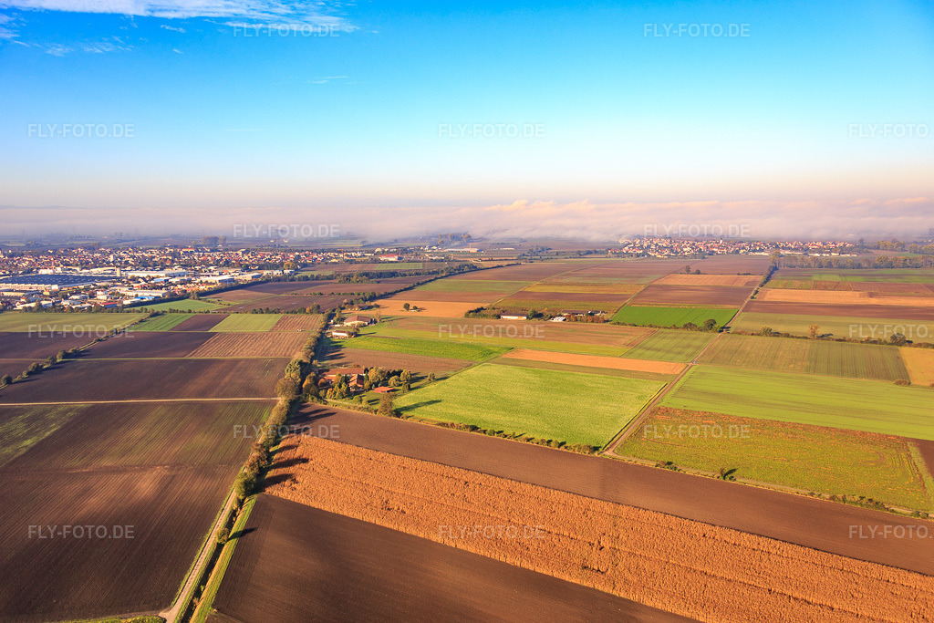 Luftbild: Mühlgraben von Osten in Bürstadt im Bundesland Hessen in Deutschland. Foto: IMG_075201.jpg vom 19.10.2014 durch Werner Riehm/FLY-FOTO.deAuflösung des Originals: 5472 x 3648 px