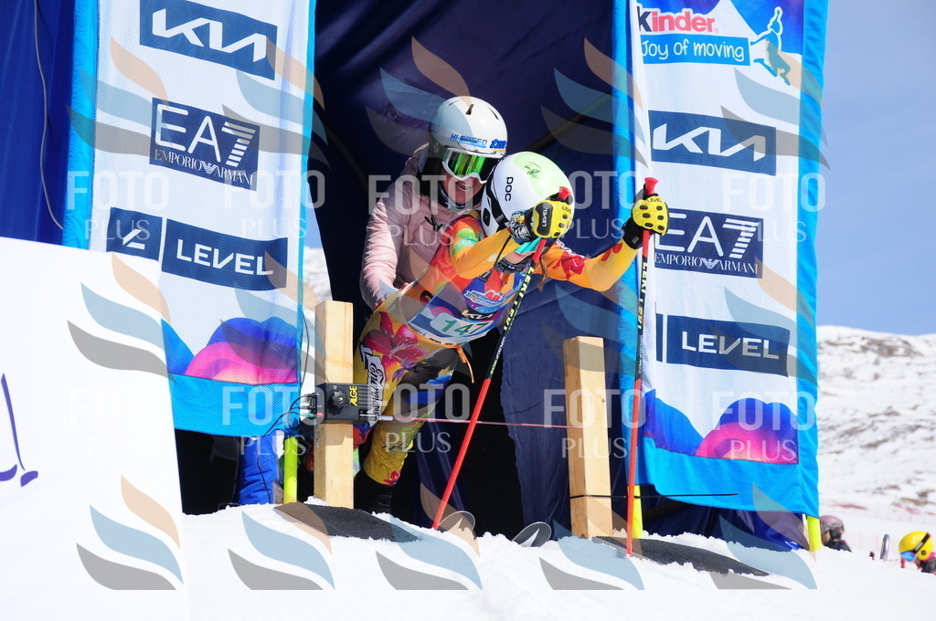 DSC_1265 | holidayphoto