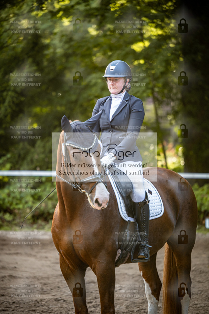 2026-10-Helle-14-0016 | Entdecke hochwertige Reitturnierfotos von Foto Oger. Professionell, emotional und authentisch – jetzt Lieblingsmomente im Shop bestellen.Deutschlandweite Turnierfotografie. - Realisiert mit Pictrs.com