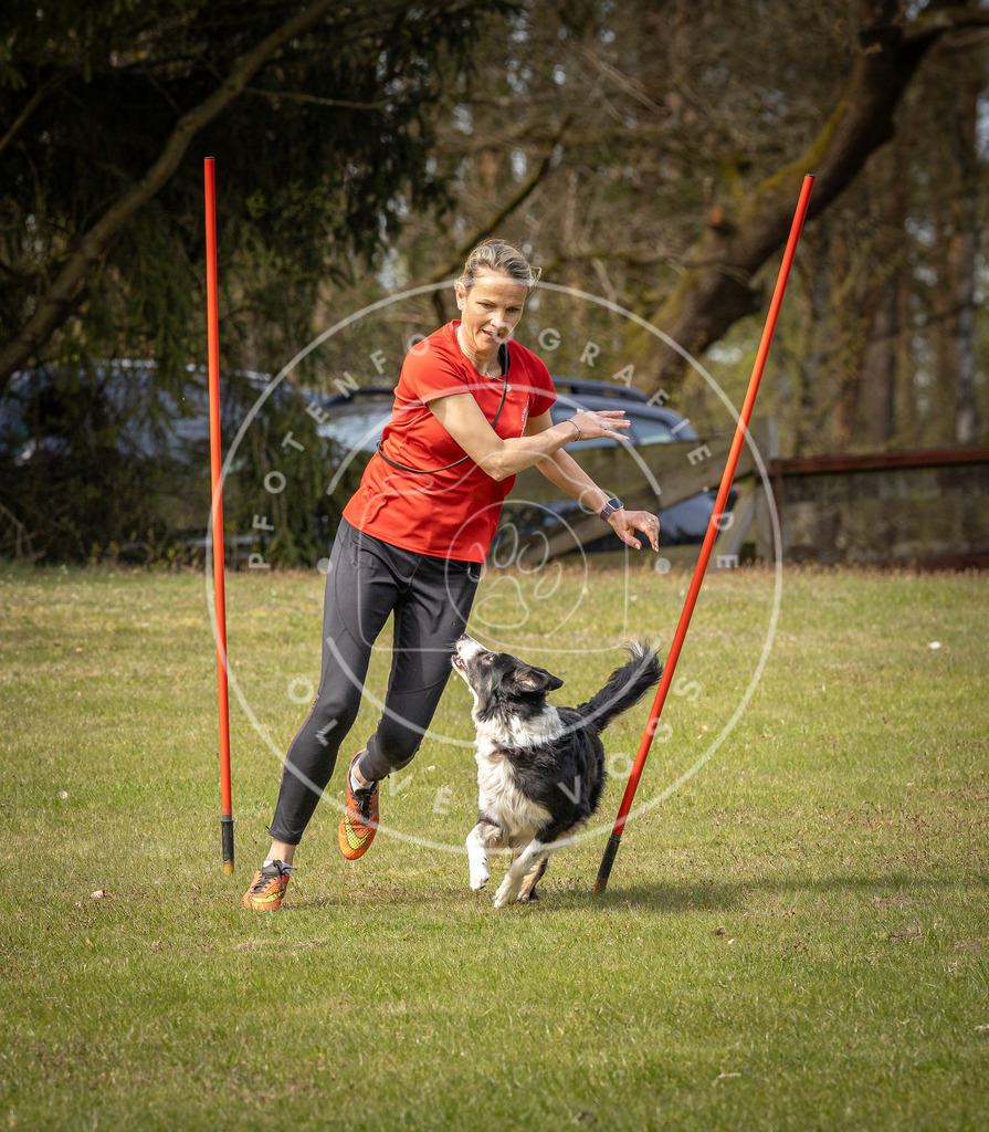 Pfotenfotografie_DV3A7627 | Hundefotografie, Tierfotograf, Pfotenfotografie, Fotoshooting Hund, Hunde Portrait, Hundesport, Hundeportraits, Heideshooting, Hunde, Sportfotograf, Hundefotograf, Turnierhundsport, THS,  - Realisiert mit Pictrs.com
