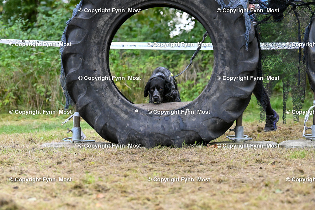 DSC_7667 | Hallo und herzlich Willkommen auf meiner Shop-Seite Fynn Most.

Ich wünsche Dir viel Spaß beim stöbern durch die Bilder, wenn Du Fragen hast oder Bilder vermisst, kannst du mir gerne eine Nachricht schreiben. - Realisiert mit Pictrs.com