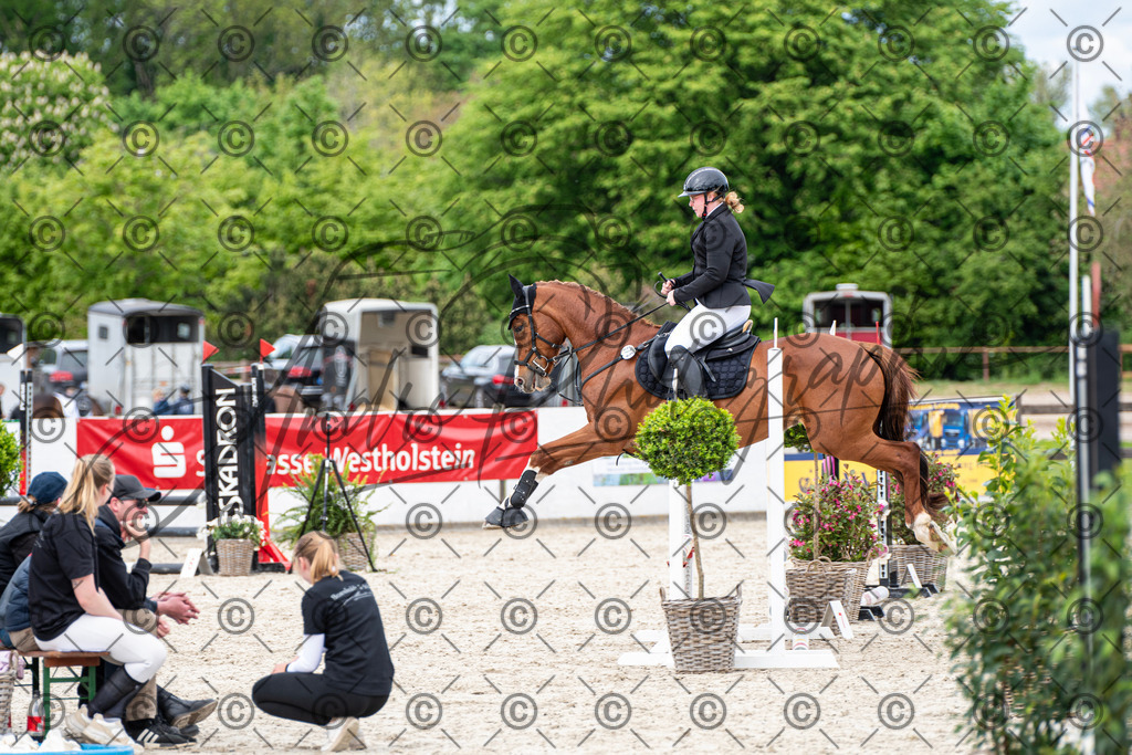 KPT_6235 | andre_photographic