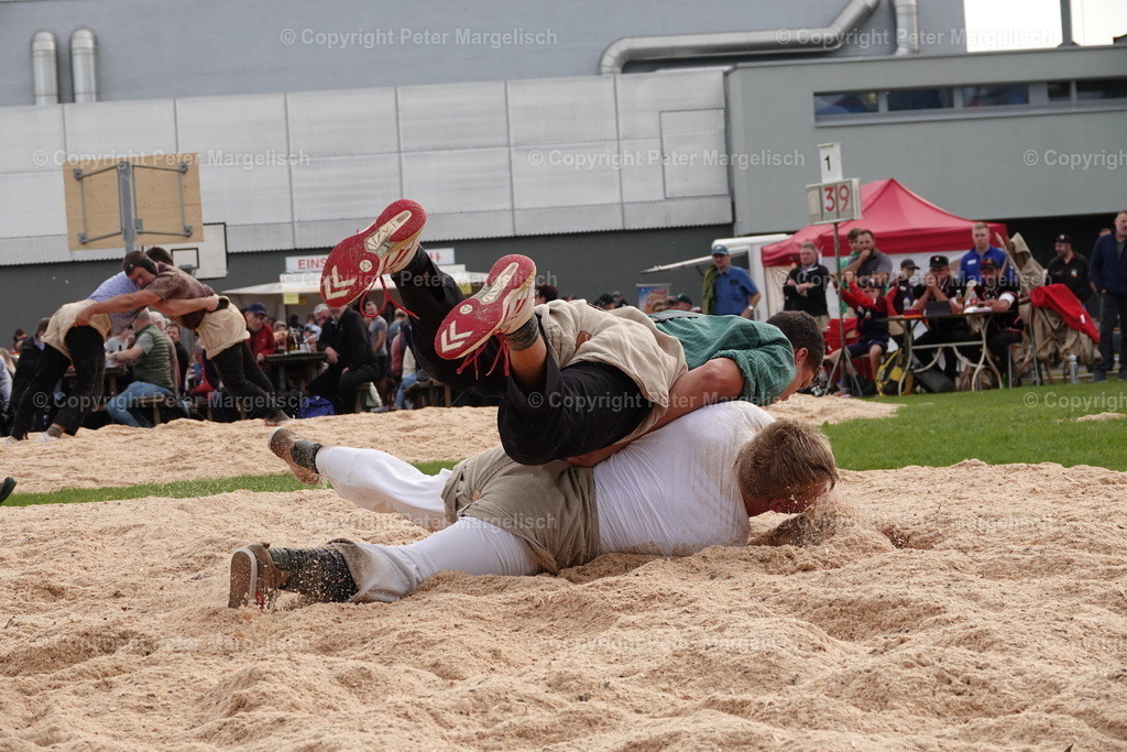 DSC08473 | Schwingen - Realisiert mit Pictrs.com
