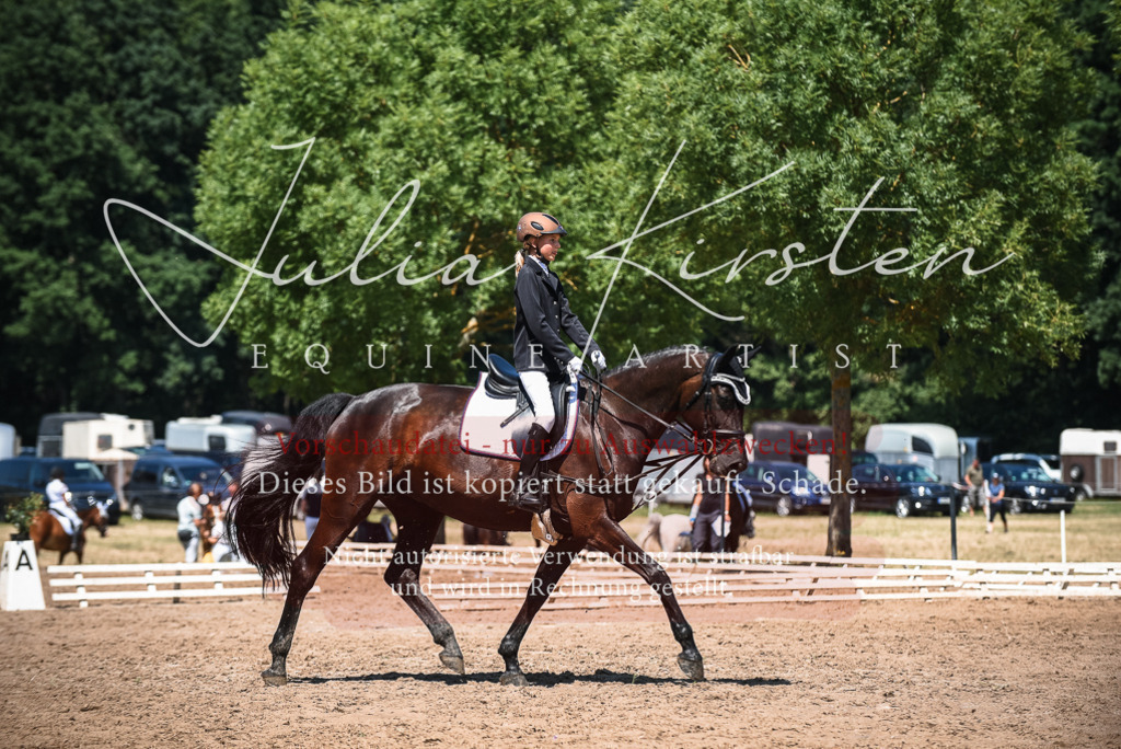 DSC_2796 | Pferde- und Turnierfotografie in Westsachsen. Pferdeportraits, Auftragszeichnungen und intuitive Kunst.