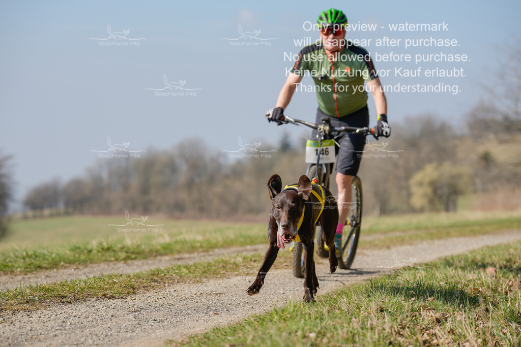 Scooter_Lang-25 | stephaniefillaphotographie - Realisiert mit Pictrs.com