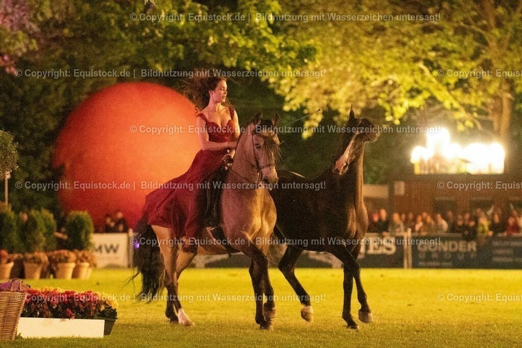20230526_Pferdenacht_1406 | equistock