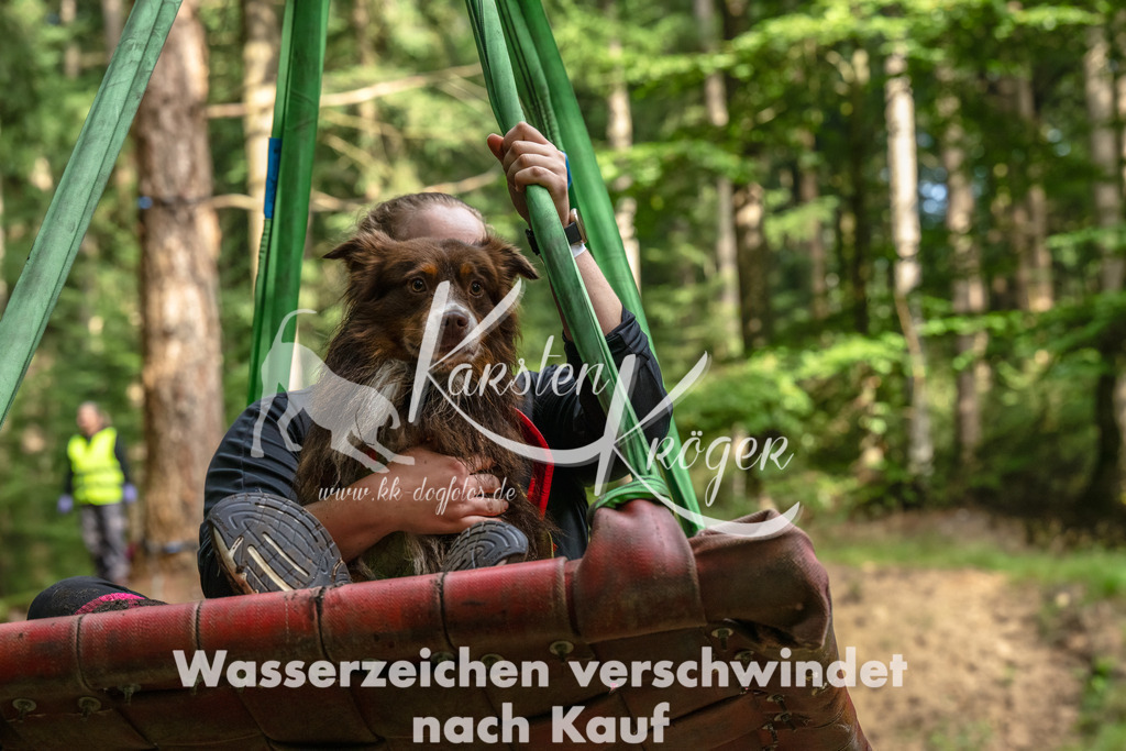 1102_ZZ93925-Bearbeitet | kk-dogfotos