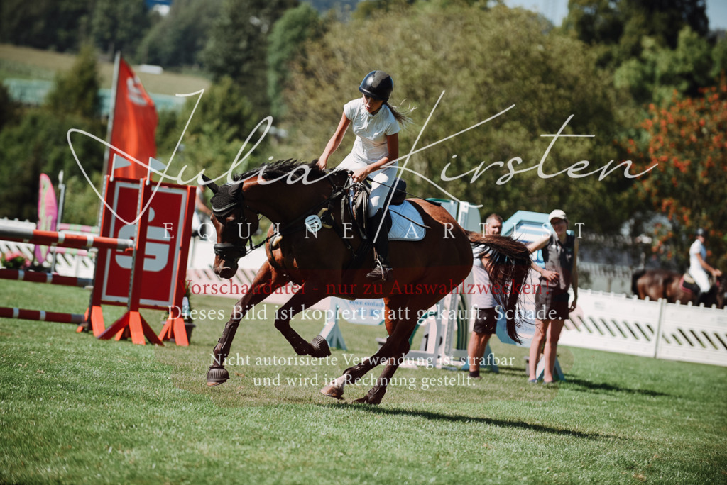 DSC_3116 | Pferde- und Turnierfotografie in Westsachsen. Pferdeportraits, Auftragszeichnungen und intuitive Kunst.