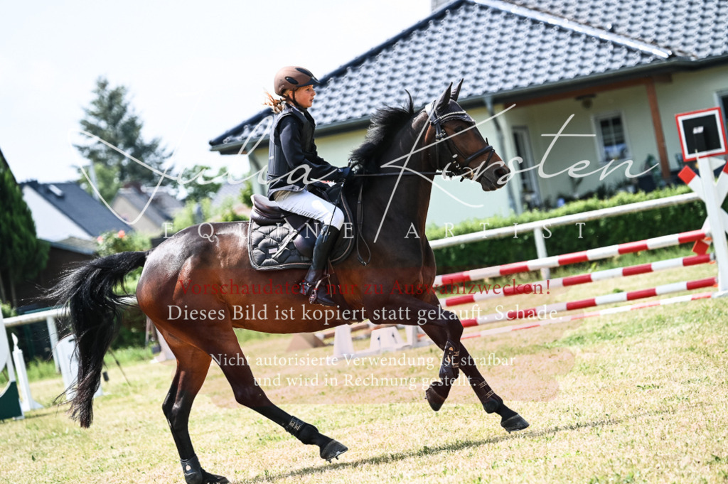 DSC_9268 | Pferde- und Turnierfotografie in Westsachsen. Pferdeportraits, Auftragszeichnungen und intuitive Kunst.